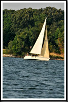 proof_2010 Gov Cup C 1318