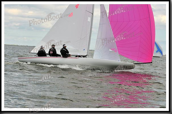 proof_2010_EScows_B 646