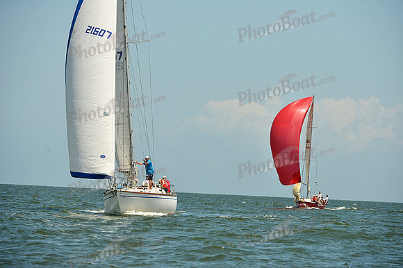2015 Southern Bay Race Week C 1346