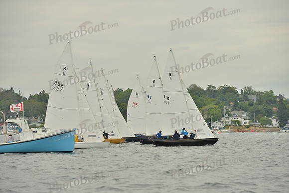 2016 Chester Race Week E_0194