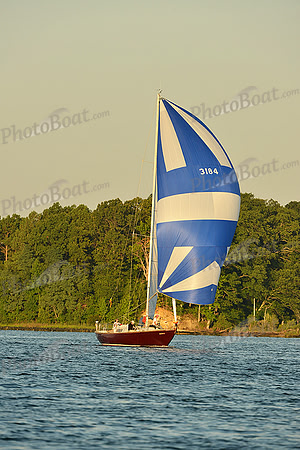 2015 Gov Cup C 547