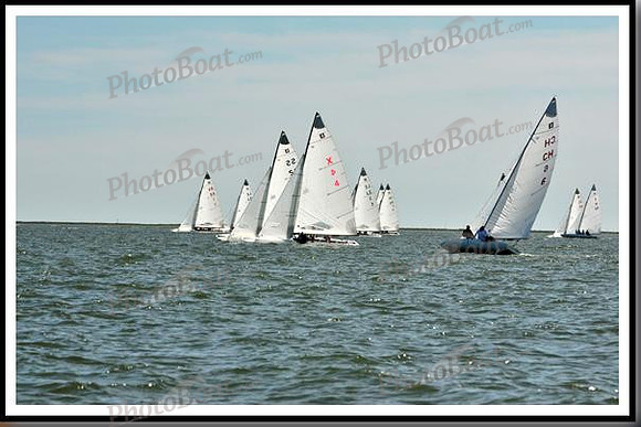 proof_2010_EScows_E 872