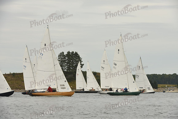 2016 Chester Race Week F_0165