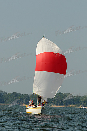 2012 Gov Cup C 529