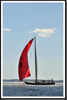 proof_2010_Vineyard_Race_1486
