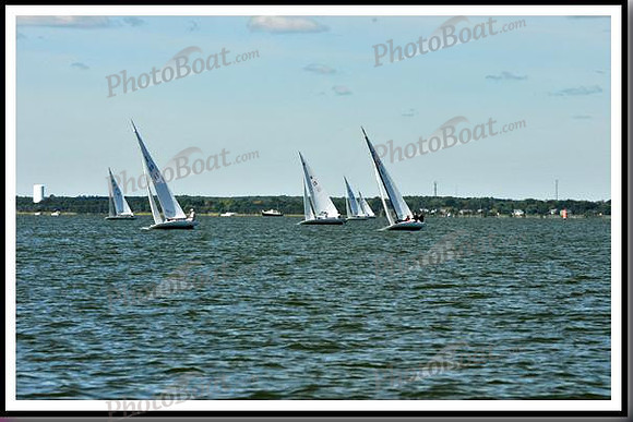 proof_2010_EScows_D 005