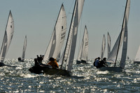 2012 Thistle Midwinters A 049