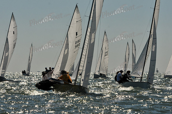 2012 Thistle Midwinters A 049
