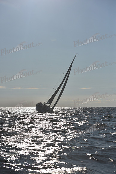 2021 Vineyard Race B 2780