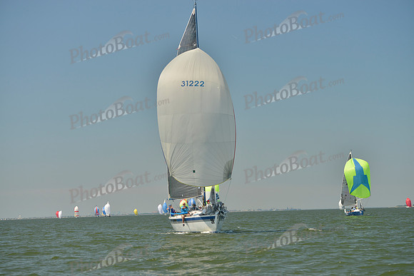 2017 Southern Bay Race Week B_0538