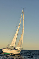 2016 Newport Bermuda Race_2779