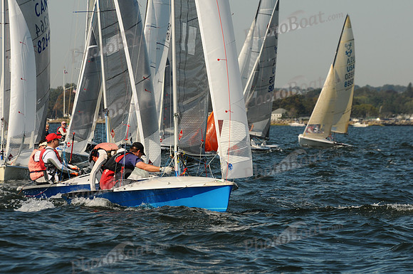 2011 HPDO A 2038