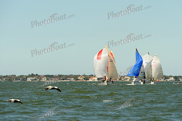 2014 St Pete NOOD D 356