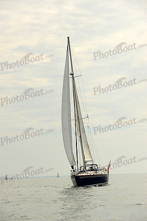 2014 Cape Charles Cup B 503