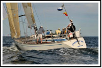 proof_2010 Block Island Race 1239