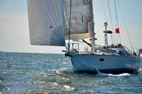 2017 Vineyard Race A_0848