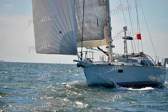 2017 Vineyard Race A_0848