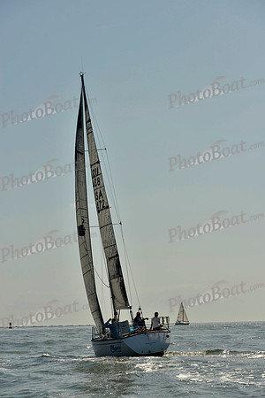2018 Charleston Race Week A_0224