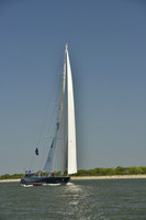 2017 Charleston Race Week A_0012