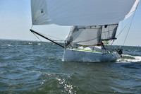 2019 Vineyard Race A_0681