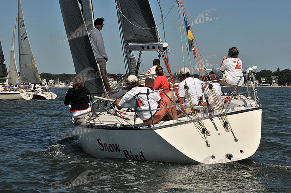 2010 Leukemia Cup 781