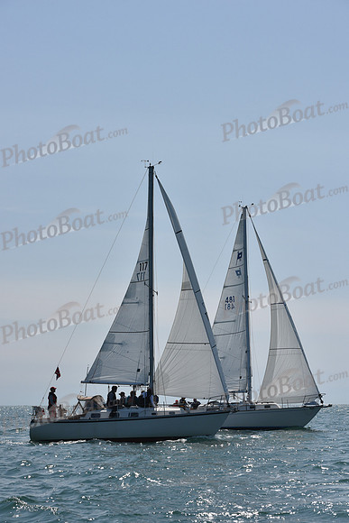 2019 Figawi_0210