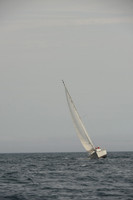 2016 Chester Race Week C_0594