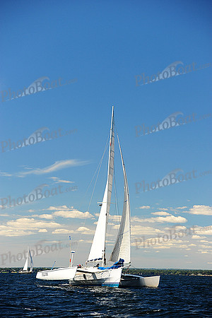 2014 Vineyard Race A 1530