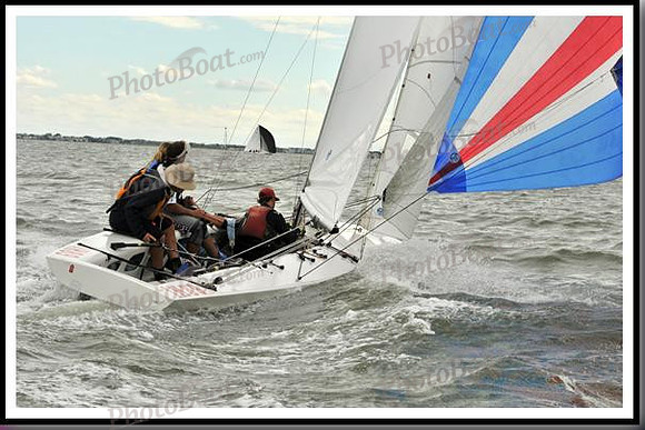 proof_2010_EScows_A 382