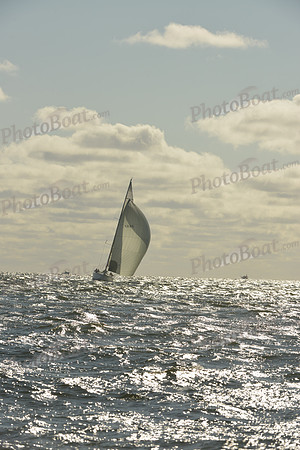 2015 Vineyard Race C 030