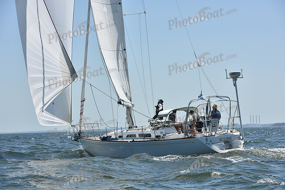 2019 Vineyard Race A_0794