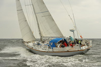 2015 Vineyard Race A 110