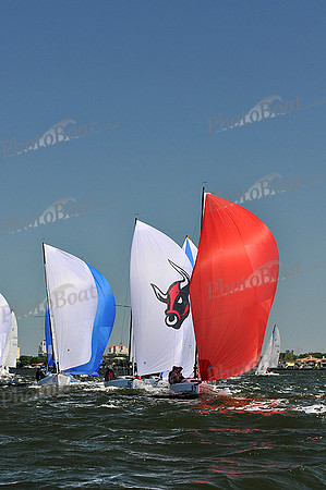 2014 J70 Winter Series G 259