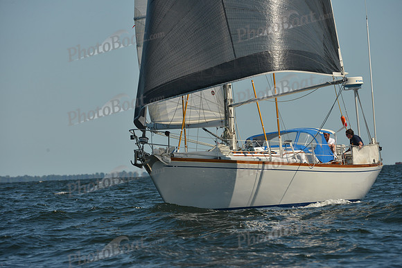 2015 Vineyard Race C 343