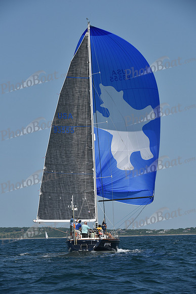 2019 Block Island Race Week A_0684
