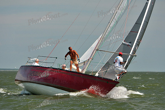 2013 Southern Bay Race Week D 482