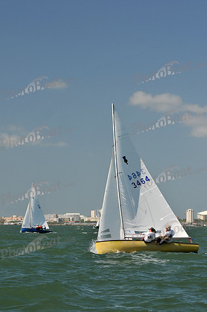 2012 Thistle Midwinters C 477