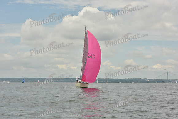 2018 ALIR_0995