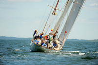 Dorade