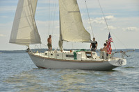 2016 Vineyard Race A_0970