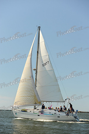 2014 Charleston Race Week A 230