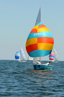 2011 Flying Scot NAC A 316