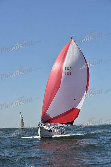 2019 Vineyard Race A_0434