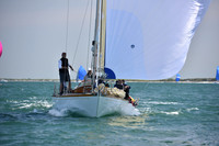 2019 Figawi_1189