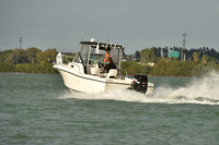 2019 Feb 10 Tampa Bay A_0835