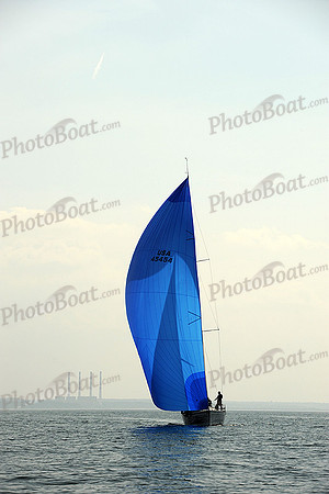 2013 Vineyard Race A 1899