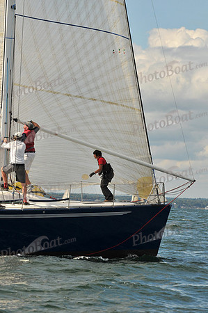 2010 IRC LIS 309
