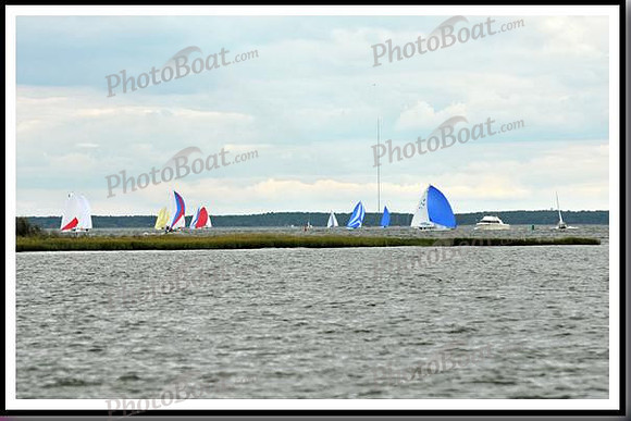 proof_2010_EScows_C 118