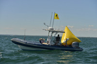 2018 NYYC Race Week D_0589