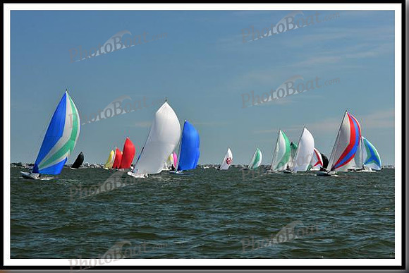 proof_2010_EScows_E 1066